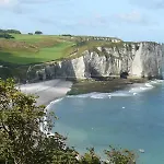 De France - L'hortensia * Étretat