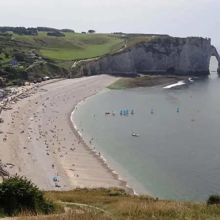 De France - L'hortensia