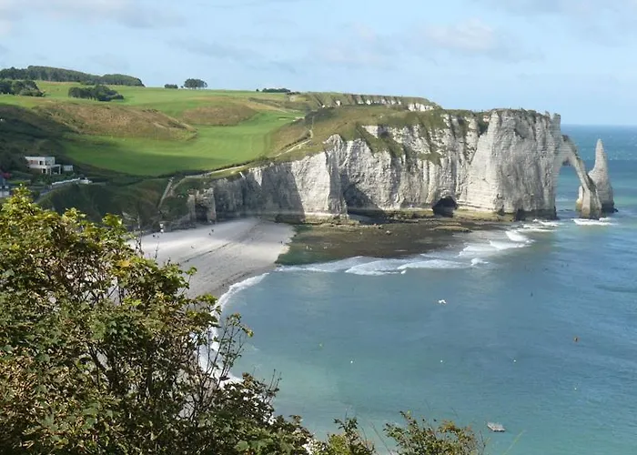 De France - L'hortensia * Étretat