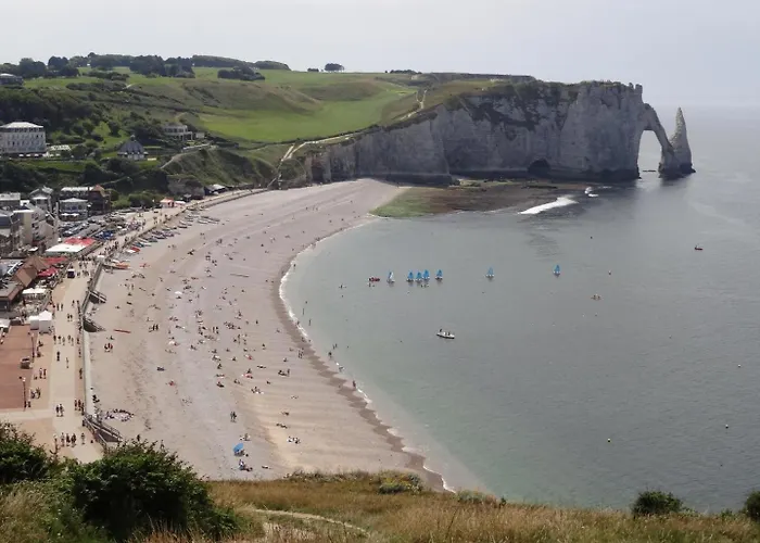 De France - L'hortensia